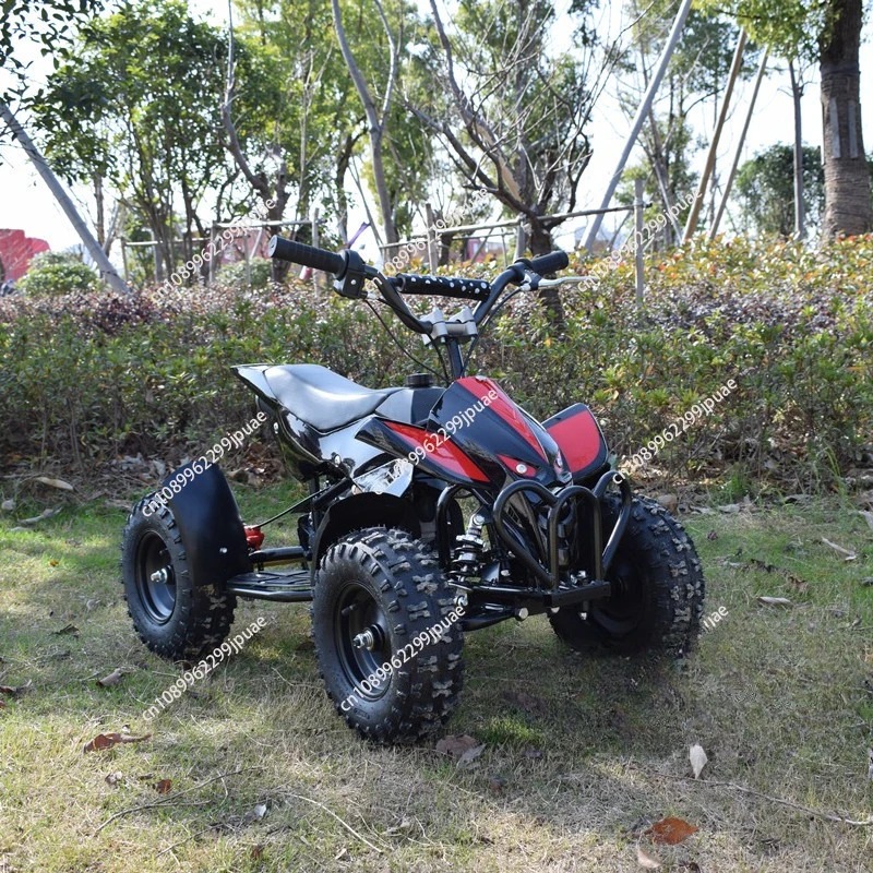 49cc 2-takt minimoto, mini qua - Kids Outdoor Quad Bike recensie en prijs