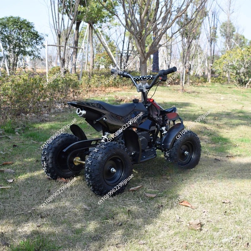 49cc 2-takt minimoto, mini qua - Kids Outdoor Quad Bike recensie en prijs