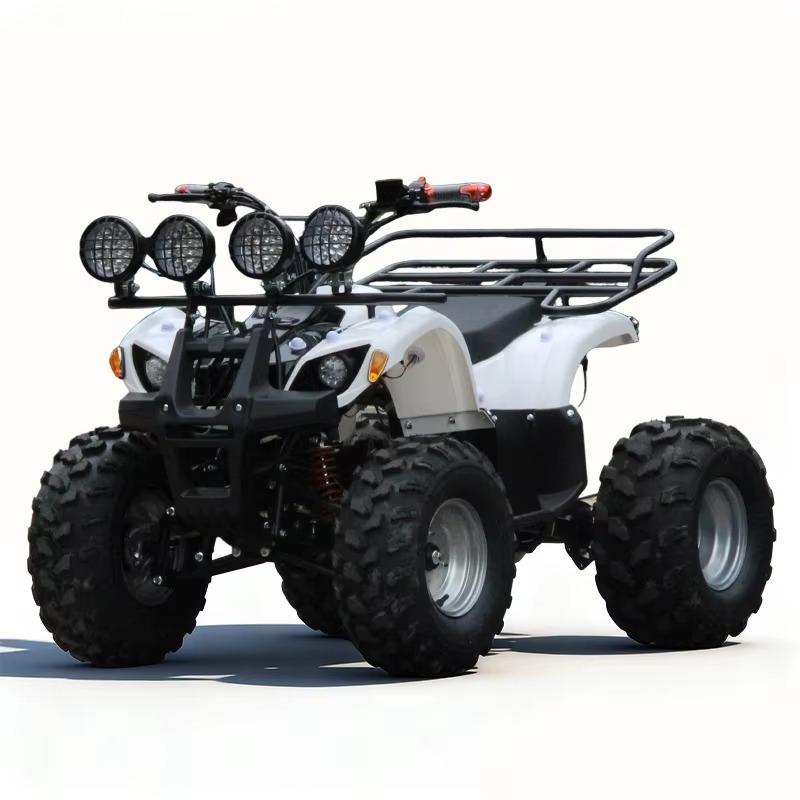 750W 48V Elektrische Kinderqua - Kids Outdoor Quad Bike recensie en prijs