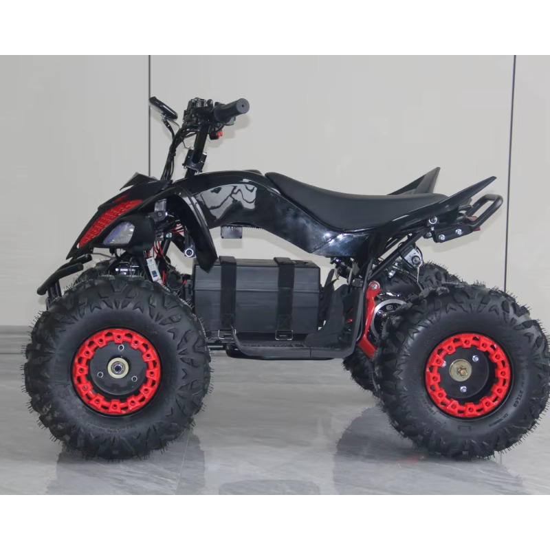 48V 1000W Elektrische Kinder A - Kids Outdoor Quad Bike recensie en prijs