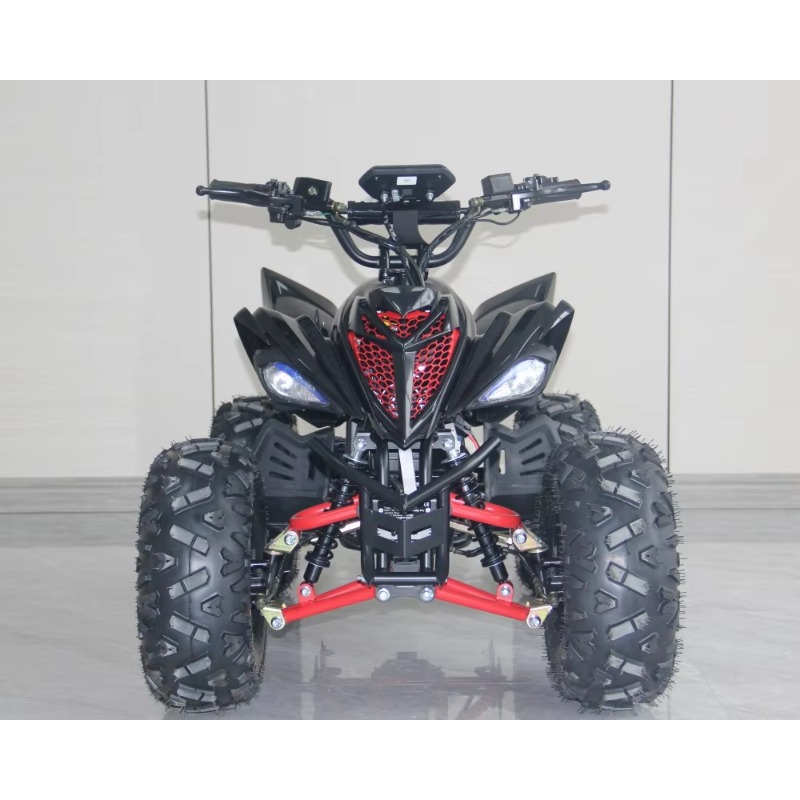 48V 1000W Elektrische Kinder A - Kids Outdoor Quad Bike recensie en prijs
